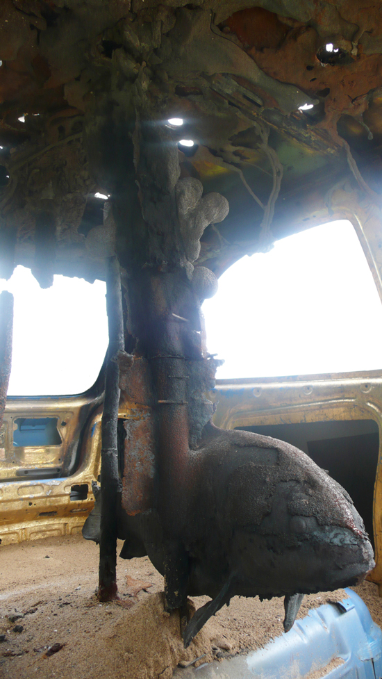 transmission fish ringler